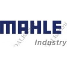 Mahle Industry