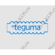Teguma GmbH