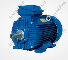 Электродвигатель BEVI серия 2SIE