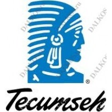 TECUMSEH