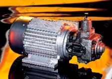 Мотор-насос Berarma GMP