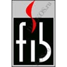 FIB