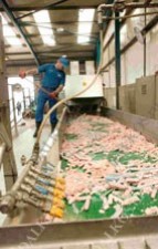 Измельчитель Mono пищевых отходов, серия SB