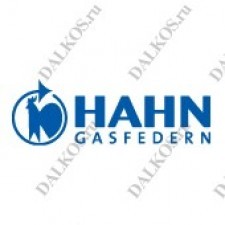 HAHN Gasfedern