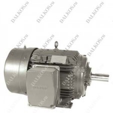 Асихронный двигатель Siemens, серии 1PC2891-1AA2.-....