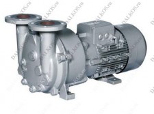 Вакуумный насос Nash, серия 2BV5