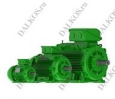 Электродвигатель трехфазный Weg, серия W22