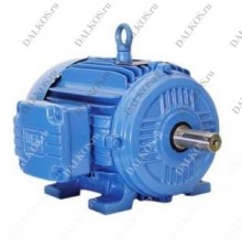 Трехфазный электродвигатель Weg, серия TEFC