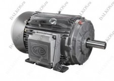 Трехфазный асинхронный электродвигатель OME Motors, серия 1 - 200HP