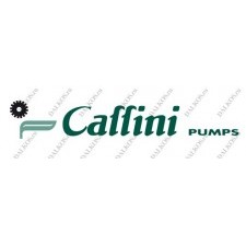 Caffini pumps