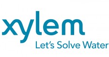 xylem