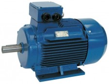 Speroni ME 200 | Электродвигатели (2-полюсные)