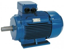 Speroni ME 250 | Электродвигатели (4-полюсные)