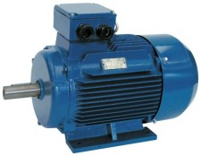 Speroni ME 315 | Электродвигатели (4-полюсные)