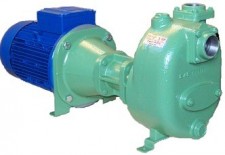 Victor Pumps S161K312B | Центробежный насос