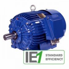 Besel (Celma Indukta) Sh500H6Ds | Электродвигатель Cantoni