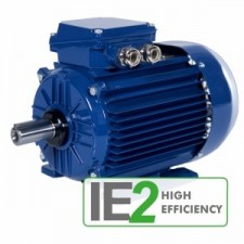 Besel (Celma Indukta) 2SIE200L4 | Электродвигатель Cantoni