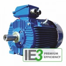 Besel (Celma Indukta) 3SIE315M2B | Электродвигатель Cantoni