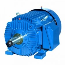 Besel (Celma Indukta) SIE143T2 | Электродвигатель Cantoni