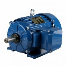 Besel (Celma Indukta) ESg182T-6 | Электродвигатель Cantoni