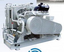 LMF V 19/5621 L 35 | Компрессорные установки