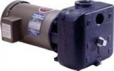 Price Pump SP150 (AI), SP150 (SF), SP150 (SS) | Центробежные насосы
