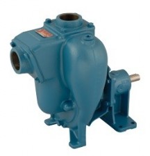 MP Pumps FM5PPK C:CCMTR 7/8 FA 4.62DI EPDM-FLP | Насос