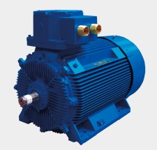 Marelli Motori B5L 450 LD8 6600 V | Двигатель