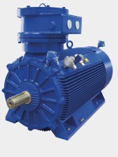 Marelli Motori D5C 250 M 2POLE 400 V | Двигатель