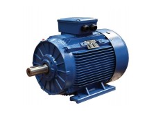 Marelli Motori BAQ 250 M2 | Двигатель