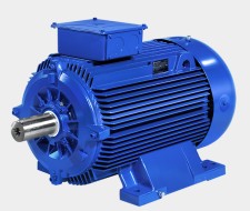 Marelli Motori B5M 450 LA 2-POLE 6600V | Двигатель