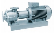 EDUR NU1001G180V-2900 | Центробежный насос