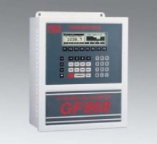 Panametrics GF868 Расходомер газа (стационарный)
