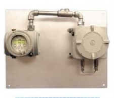 Panametrics APX Термомагнитный газоанализатор (стационарный)