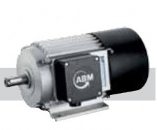 ABM Greiffenberger Induction Motor 160 | Индукционный двигатель
