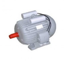 ELKO EKSK 100 | Электродвигатель