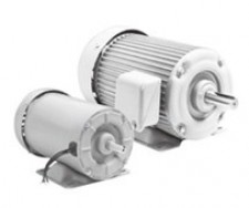 Nidec Corporation FEYQ | Асинхронный двигатель