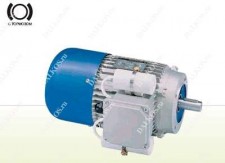 Асинхронный электродвигатель Servomech серии MADV (MADC)