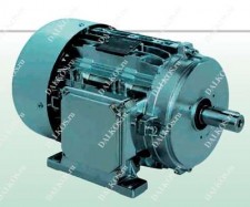 Асинхронный электродвигатель Servomech Servomech серии MRE