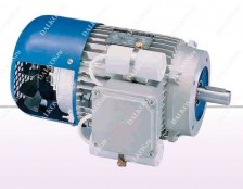 Асинхронный электродвигатель Servomech cерии MDC (MDV)