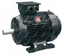 Трехфазный двигатель FIMET ATEx. Сертифицированные двигатели, пыли и газа