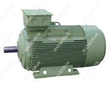 Двигатель FIMET IE2 серия EMA. Корпус чугун.