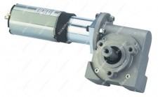 Двигатель с планетарной и червячной передачей Bernio MVR 737/30/26