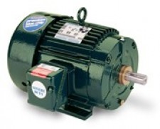 Чугунные двигатели LEESON IEEE 841 TEFC