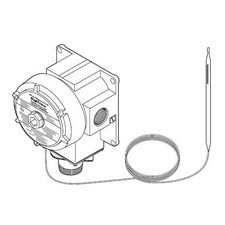 RAYSTAT-EX-02 Термостаты
